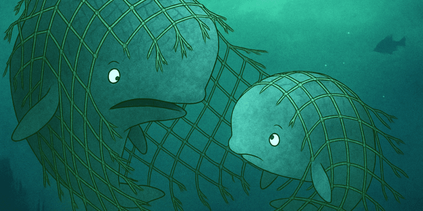 Rädda tumlarens kalvar från Spöknät, Spöknätsexpedition 2026